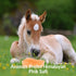Horse Licking Salt - 5 lbs | HIMALAYAN NATURE